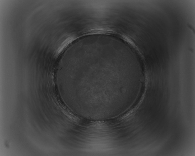 X0000101451259200807141236