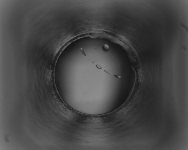 X0000101451260200807141236