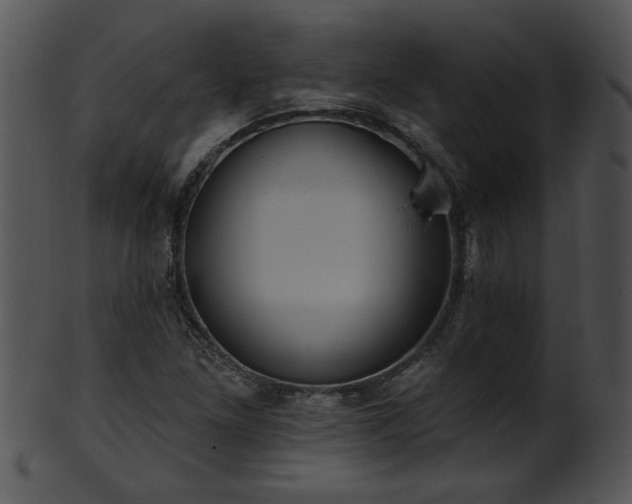 X0000101451261200807141236