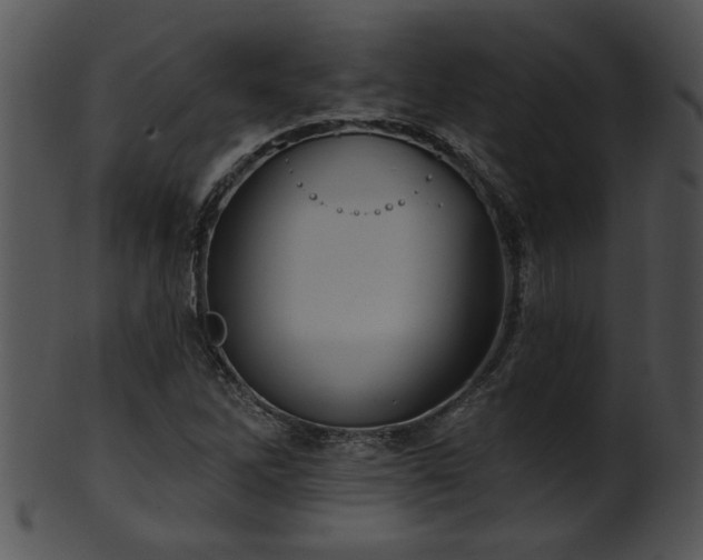 X0000101451262200807141236