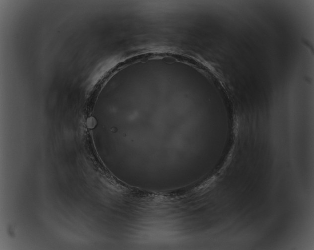 X0000101451263200807141236