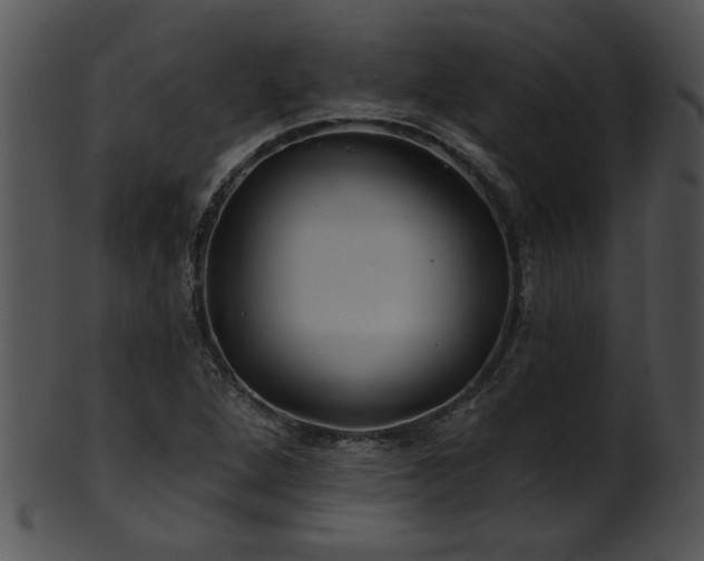 X0000101451264200807141236