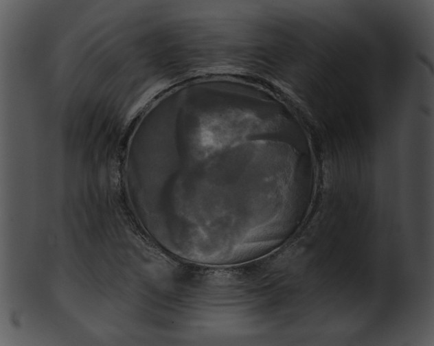 X0000101451266200807141236