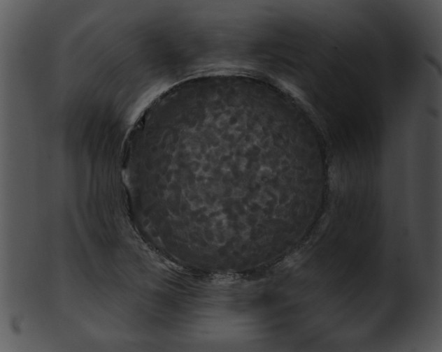 X0000101451267200807141236