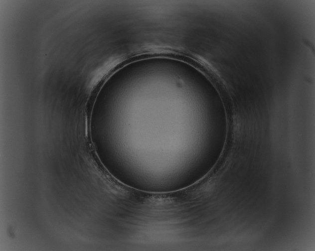 X0000101451269200807141235