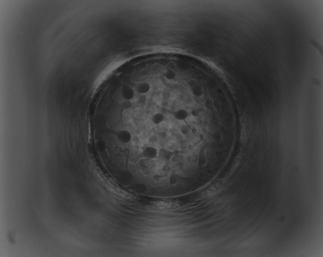 X0000101451271200807141235