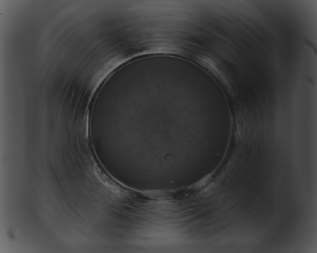 X0000101451276200807141235