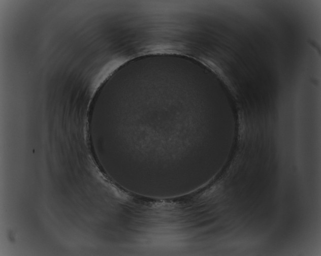 X0000101451277200807141235