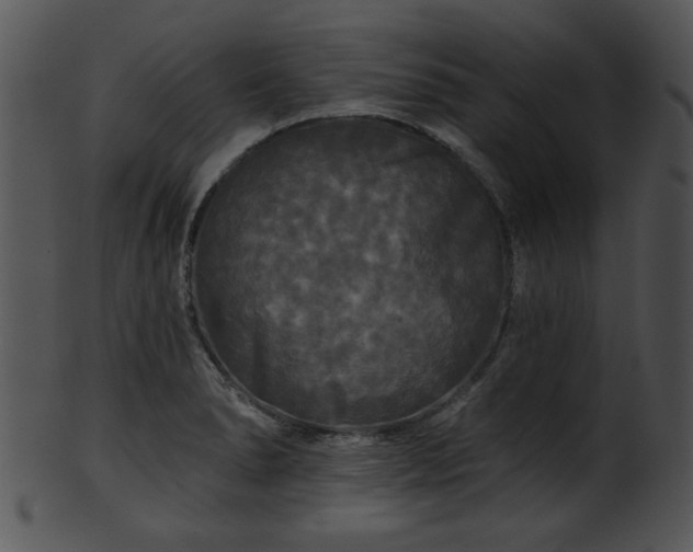 X0000101451278200807141235