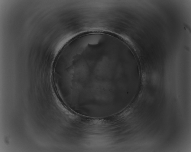 X0000101451279200807141235