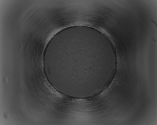 X0000101451280200807141235