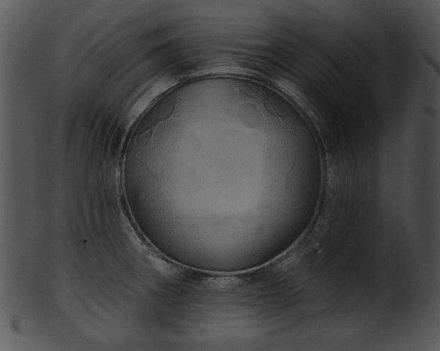 X0000101451282200807141235