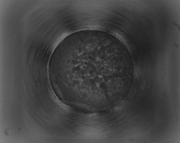 X0000101451283200807141235