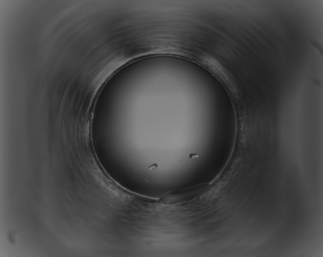 X0000101451284200807141235