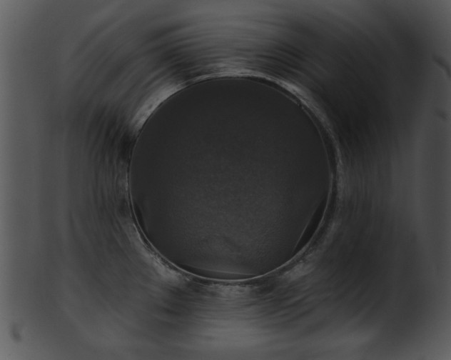 X0000101451289200807141235