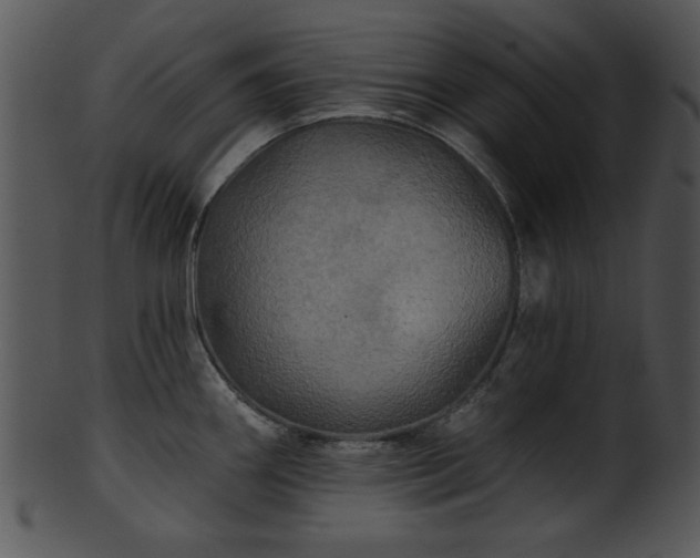 X0000101451290200807141235