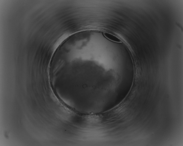 X0000101451291200807141235