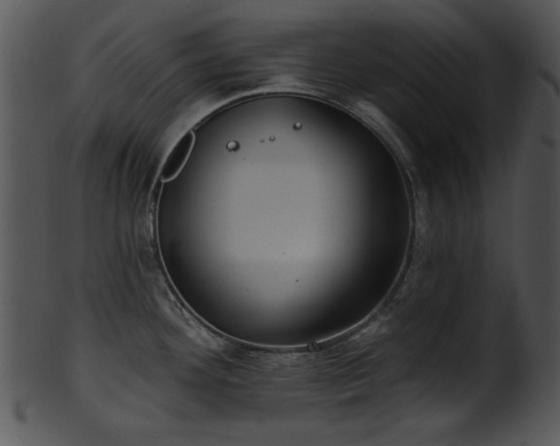 X0000101451292200807141235