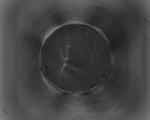 X0000101451295200807141235