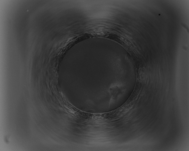 X0000101451297200807141234