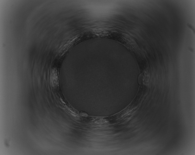 X0000101451298200807141234