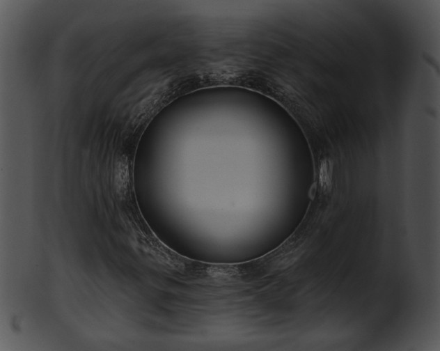 X0000101451299200807141234