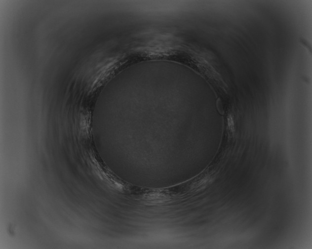 X0000101451300200807141234