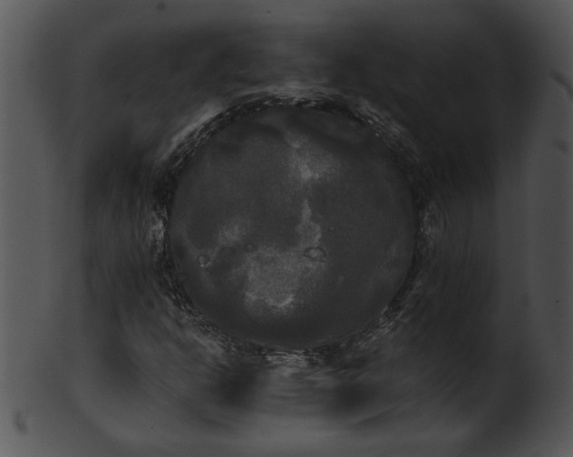 X0000101451302200807141234