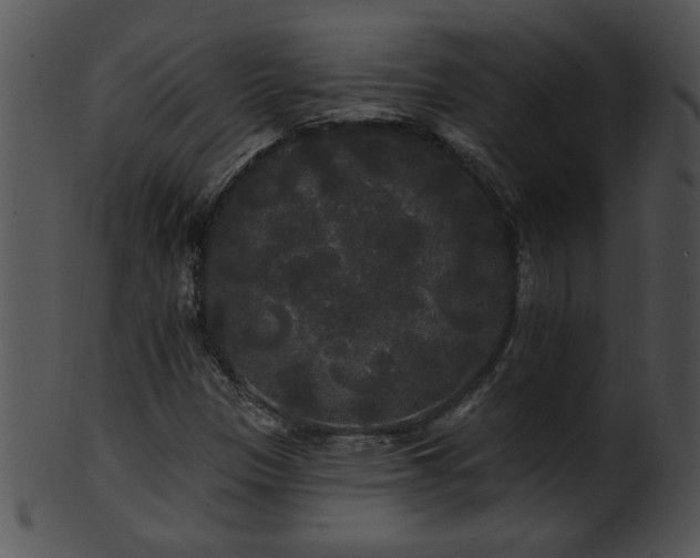 X0000101451305200807141234