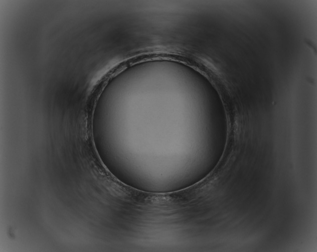 X0000101451310200807141234