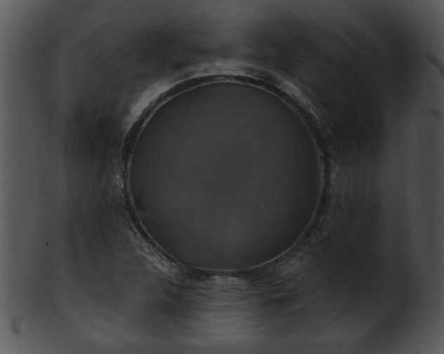 X0000101451312200807141234