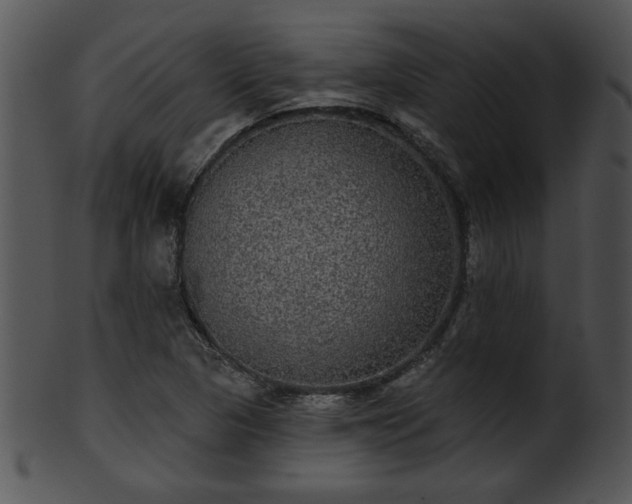 X0000101451313200807141234