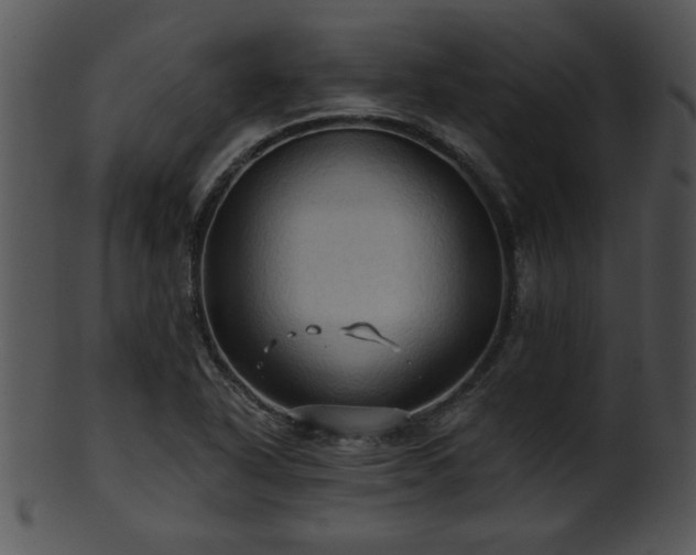 X0000101451318200807141235