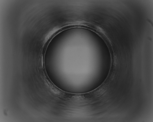 X0000101451320200807141235