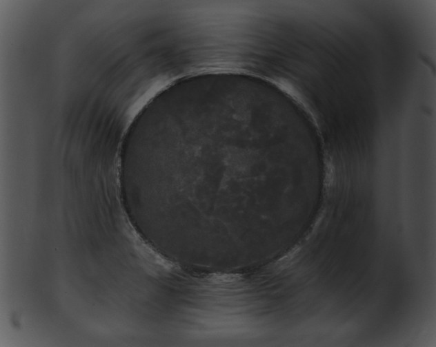 X0000101451325200807141235