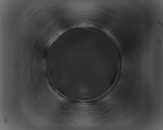 X0000101451329200807141235