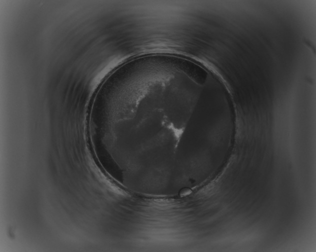 X0000101451333200807141235