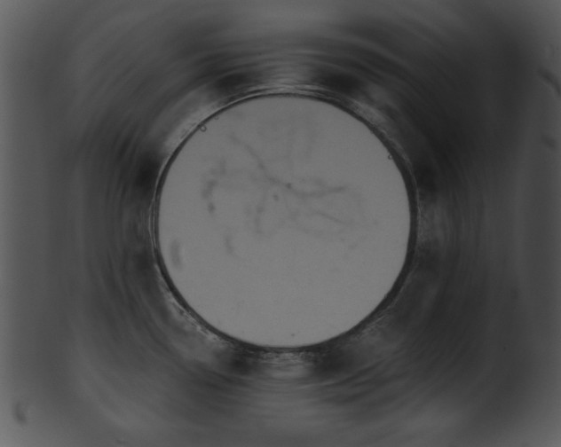 X0000101451338200807141235