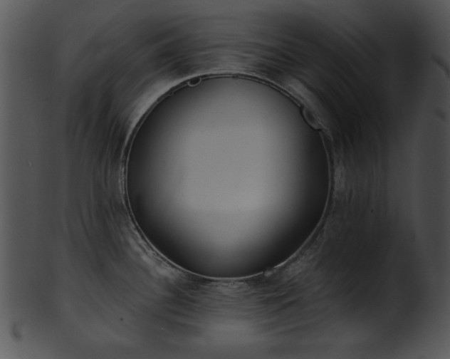 X0000101451340200807141235