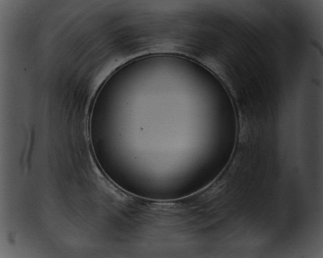 X0000101451342200807141235