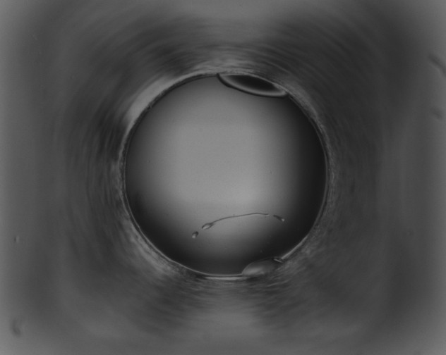 X0000101451344200807141235