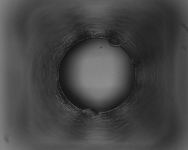 X0000101451345200807141234