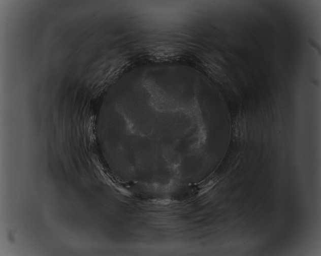 X0000101451346200807141234