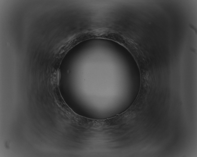 X0000101451349200807141234