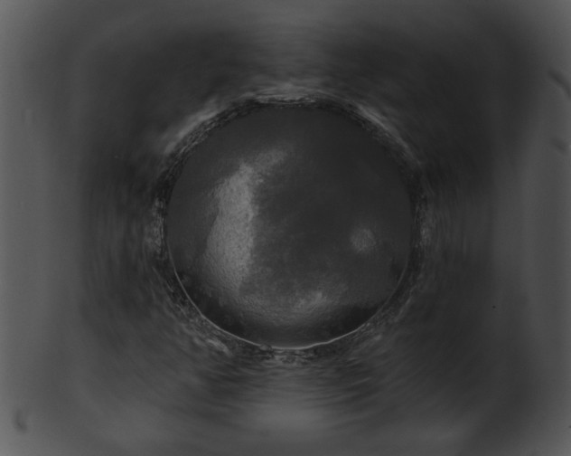 X0000101451350200807141234