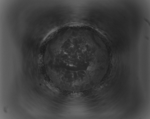 X0000101451351200807141234