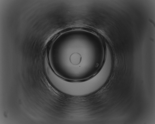 X0000101451356200807141234