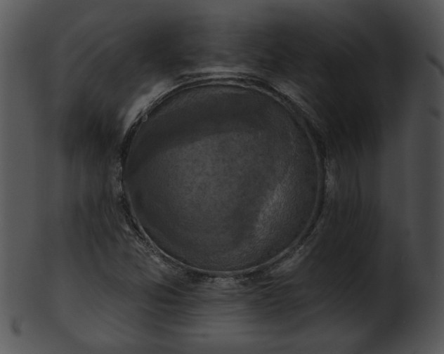 X0000101451357200807141234