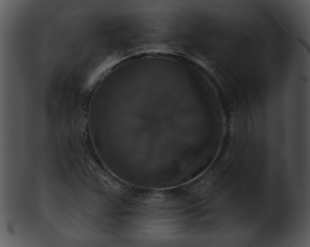 X0000101451359200807141234