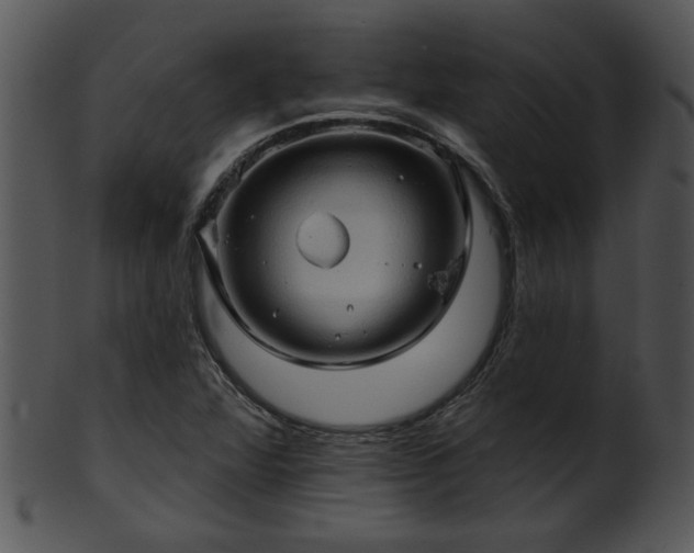 X0000101451360200807141234